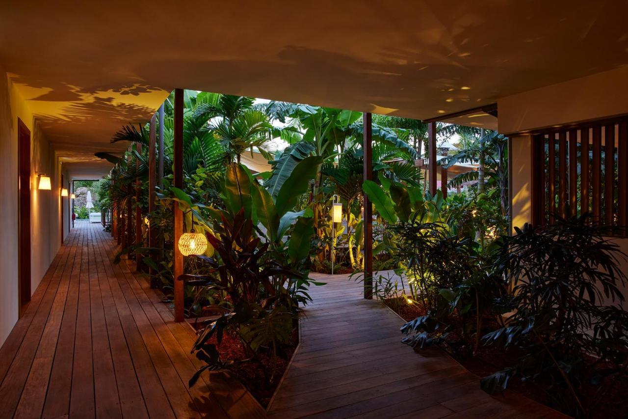 Tropical Hotel St Barth กุสตาเวีย ภายนอก รูปภาพ