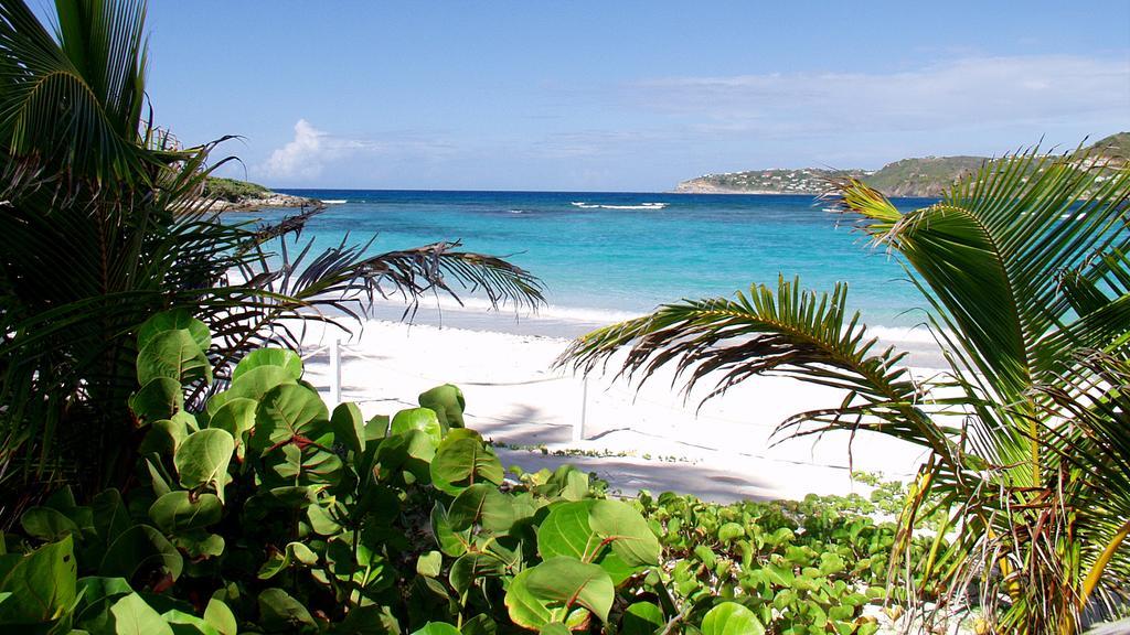 Tropical Hotel St Barth กุสตาเวีย ภายนอก รูปภาพ